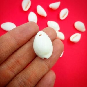 COWRIE0001- ARNA'S 100 GM SINGLE HOLE WHITE COWRIE SHELL FOR JEWELLERY MAKING - 62 PCS APPROX.