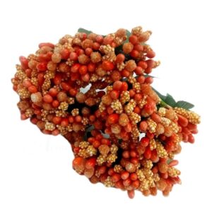 POLLEN0003- 1 PACK (12 BUNCHES) OF ORANGE POLEN